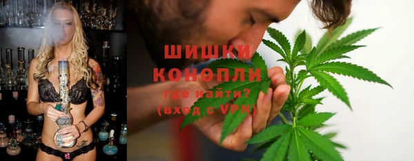 PSILOCYBIN Балахна