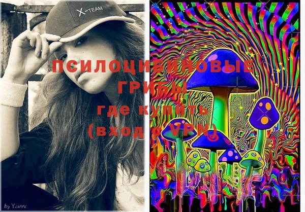 PSILOCYBIN Балахна