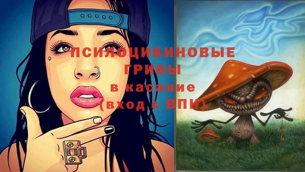 PSILOCYBIN Балахна