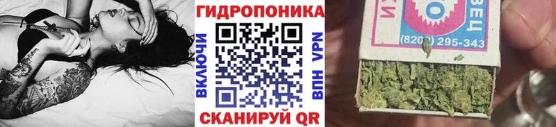 Бошки марихуана индика  это формула  Нязепетровск 